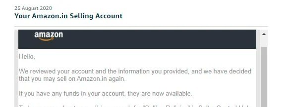 Amazon email confirming a seller account was reinstated (case 19), shared with the client's permission