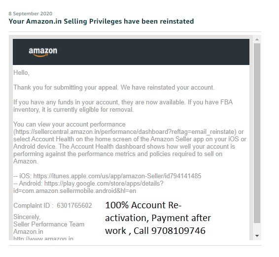Amazon seller account reinstated, client case 13