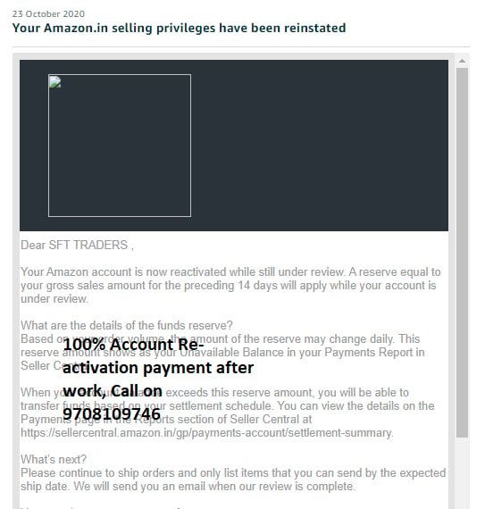 Amazon seller account reinstated, client case 14