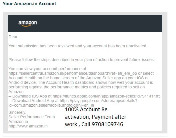 Amazon seller account reinstated, client case 15