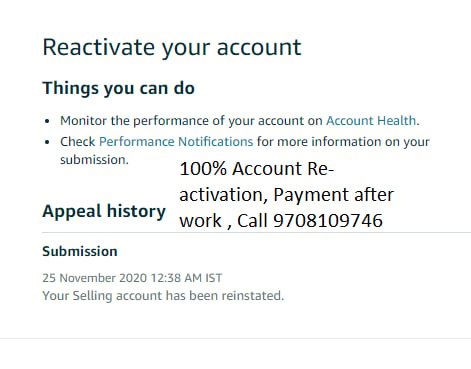 Amazon seller account reinstated, client case 19