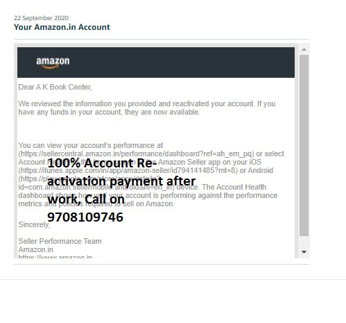 Amazon seller account reinstated, client case 20