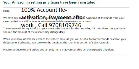 Amazon seller account reinstated, client case 21