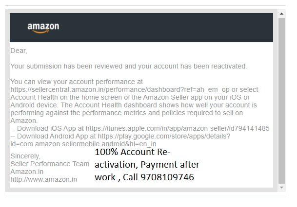 Amazon seller account reinstated, client case 22