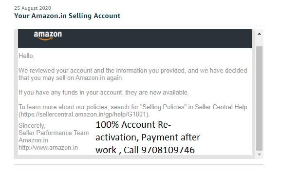 Amazon seller account reinstated, client case 23