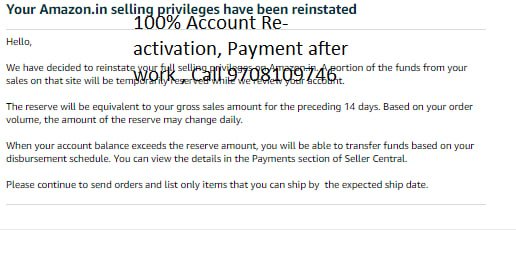 Amazon seller account reinstated, client case 26