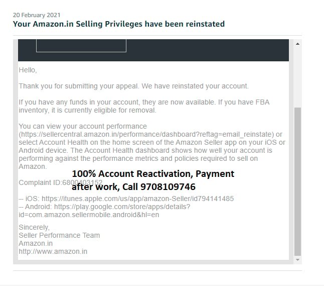 Amazon seller account reinstated, client case 27