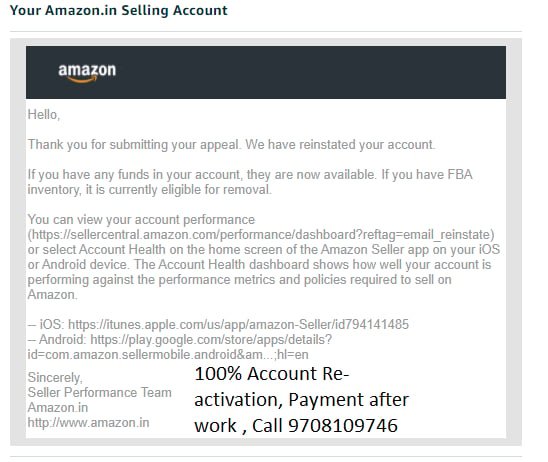 Amazon seller account reinstated, client case 29