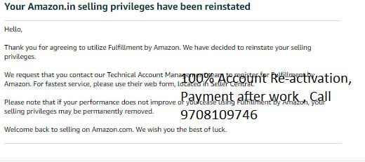 Amazon seller account reinstated, client case 3