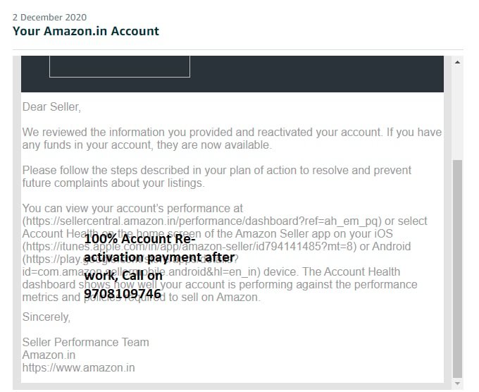 Amazon seller account reinstated, client case 30