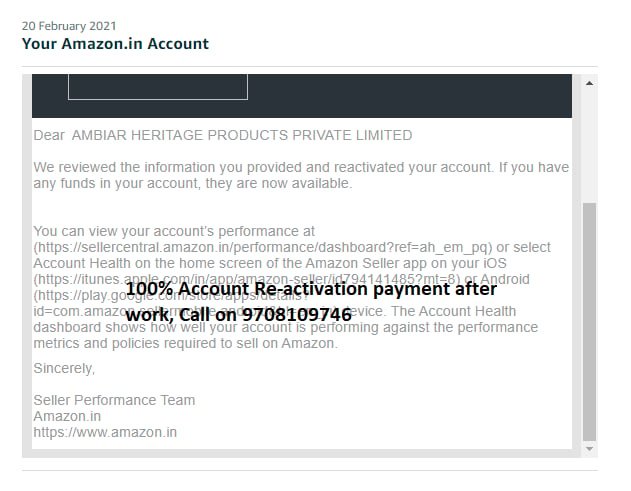 Amazon seller account reinstated, client case 31