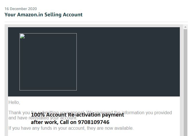 Amazon seller account reinstated, client case 32