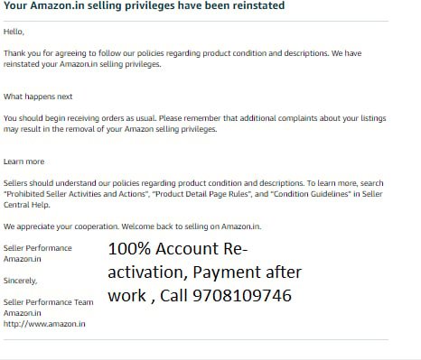 Amazon seller account reinstated, client case 33