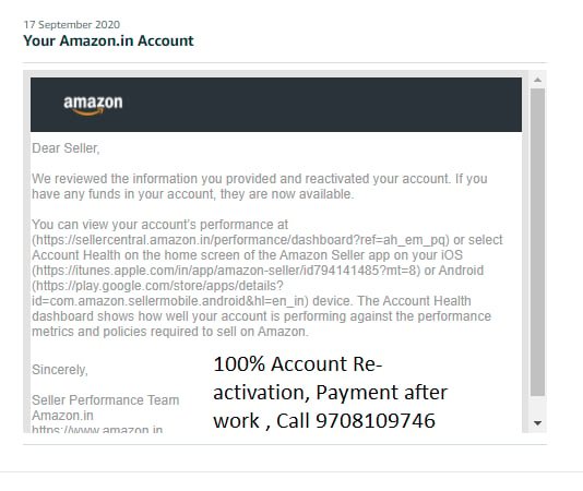 Amazon seller account reinstated, client case 4