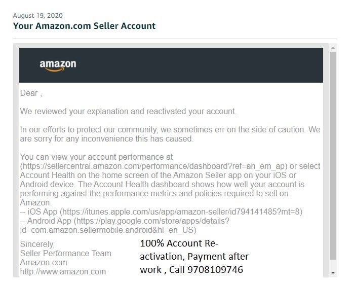 Amazon seller account reinstated, client case 5