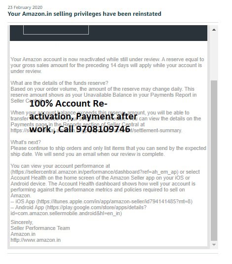 Amazon seller account reinstated, client case 9